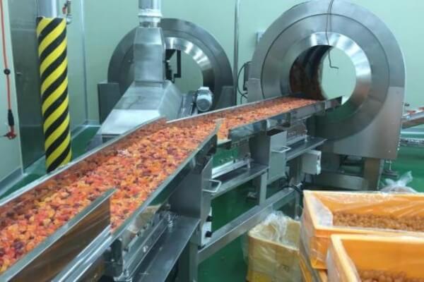 Sugar Coating System